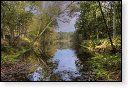 Oisterwijkse Bossen en Vennen Kampina natuurgebied natuur oisterwijk Nationaal park Landschap Het Groene Woud hei heide bossen natuurmonumenten brabant baronie boswachterij dorst